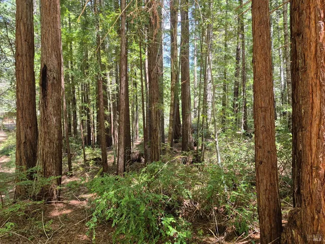 $1,950,000 | 11903 Branscomb Road, Laytonville, CA 95454