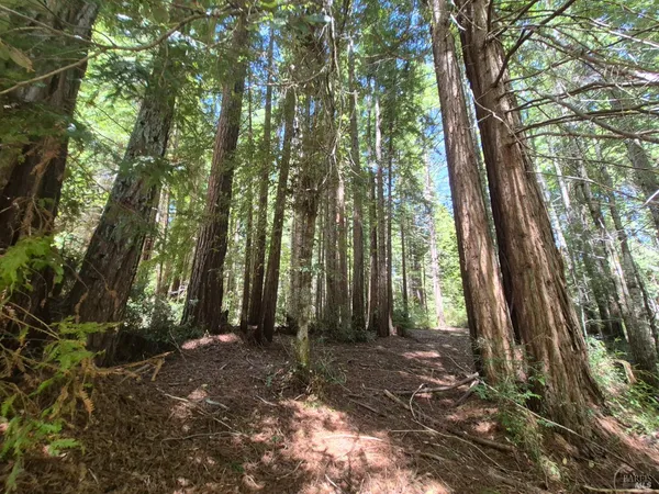 $1,950,000 | 11903 Branscomb Road, Laytonville, CA 95454