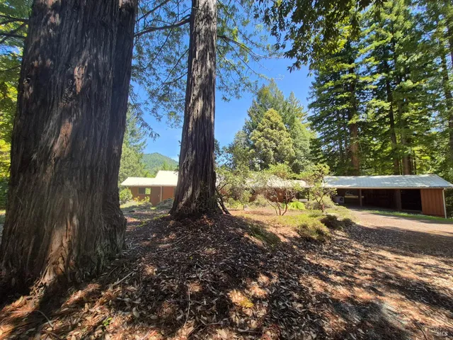 a view of a backyard