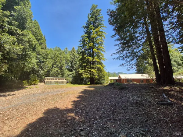 a view of dirt yard with a large tree