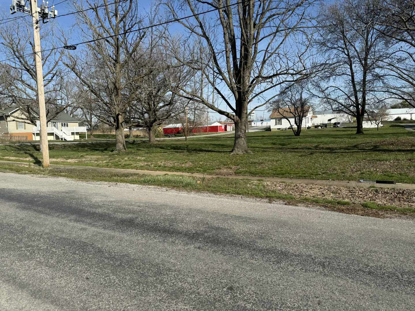 0 South Emma Street Christopher, IL 62822 - Photo 3 of 5