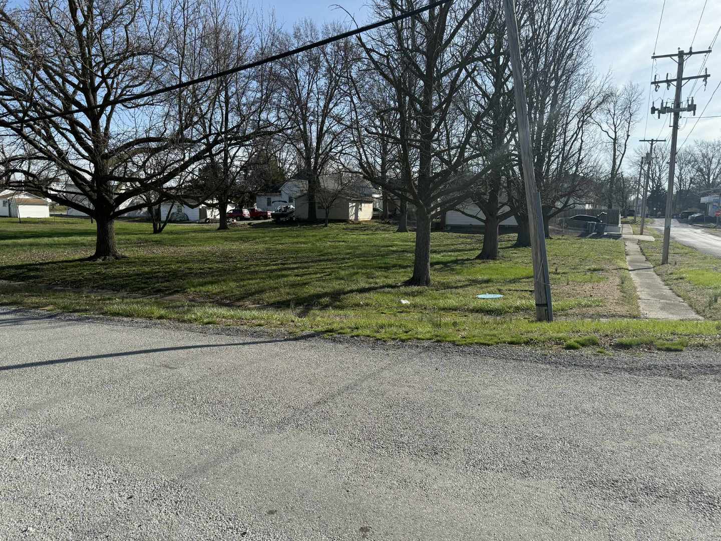 0 South Emma Street Christopher, IL 62822 - Photo 4 of 5