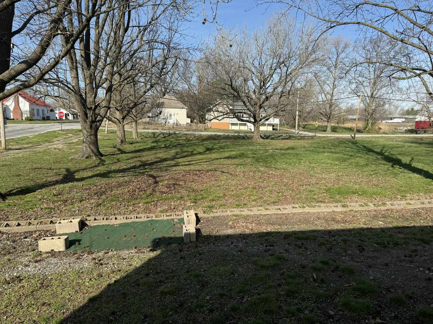 0 South Emma Street Christopher, IL 62822 - Photo 5 of 5