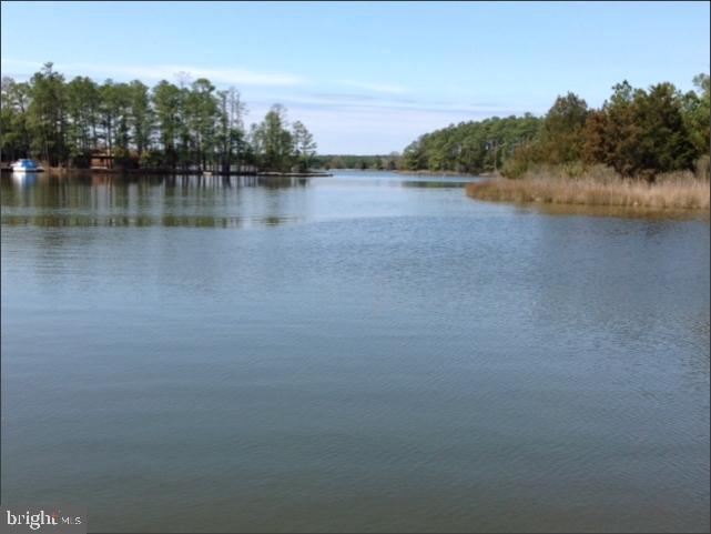 5516 Ross Neck Road Cambridge, MD 21613 - Photo 1 of 7 Gallery Image 1