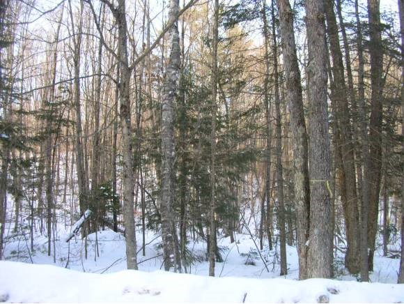 428 Rt 10 Croydon, NH 03773 - Photo 1 of 1 Gallery Image 1