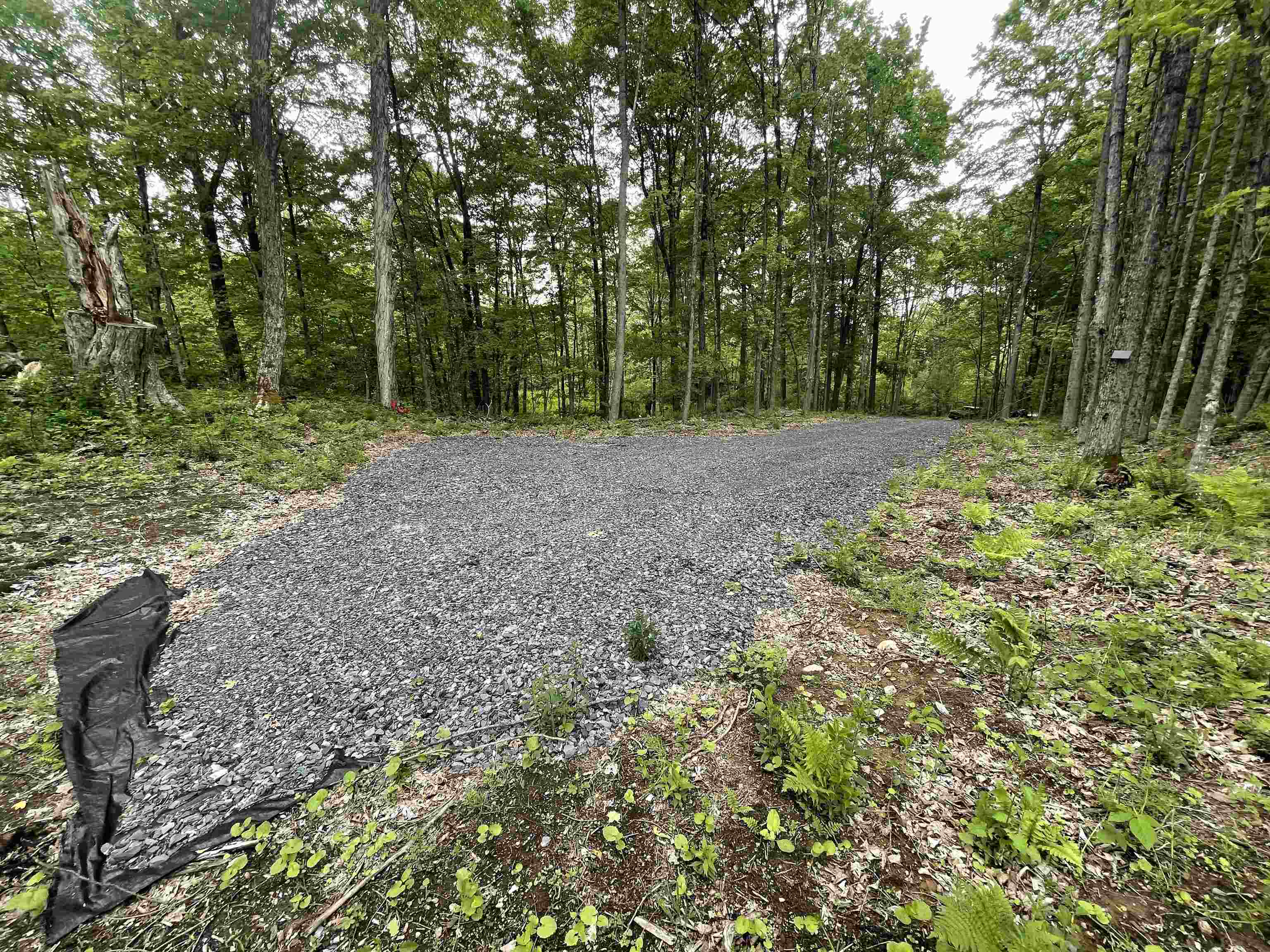 641 Camp Road Hubbardton, VT 05733 - Photo 3 of 11