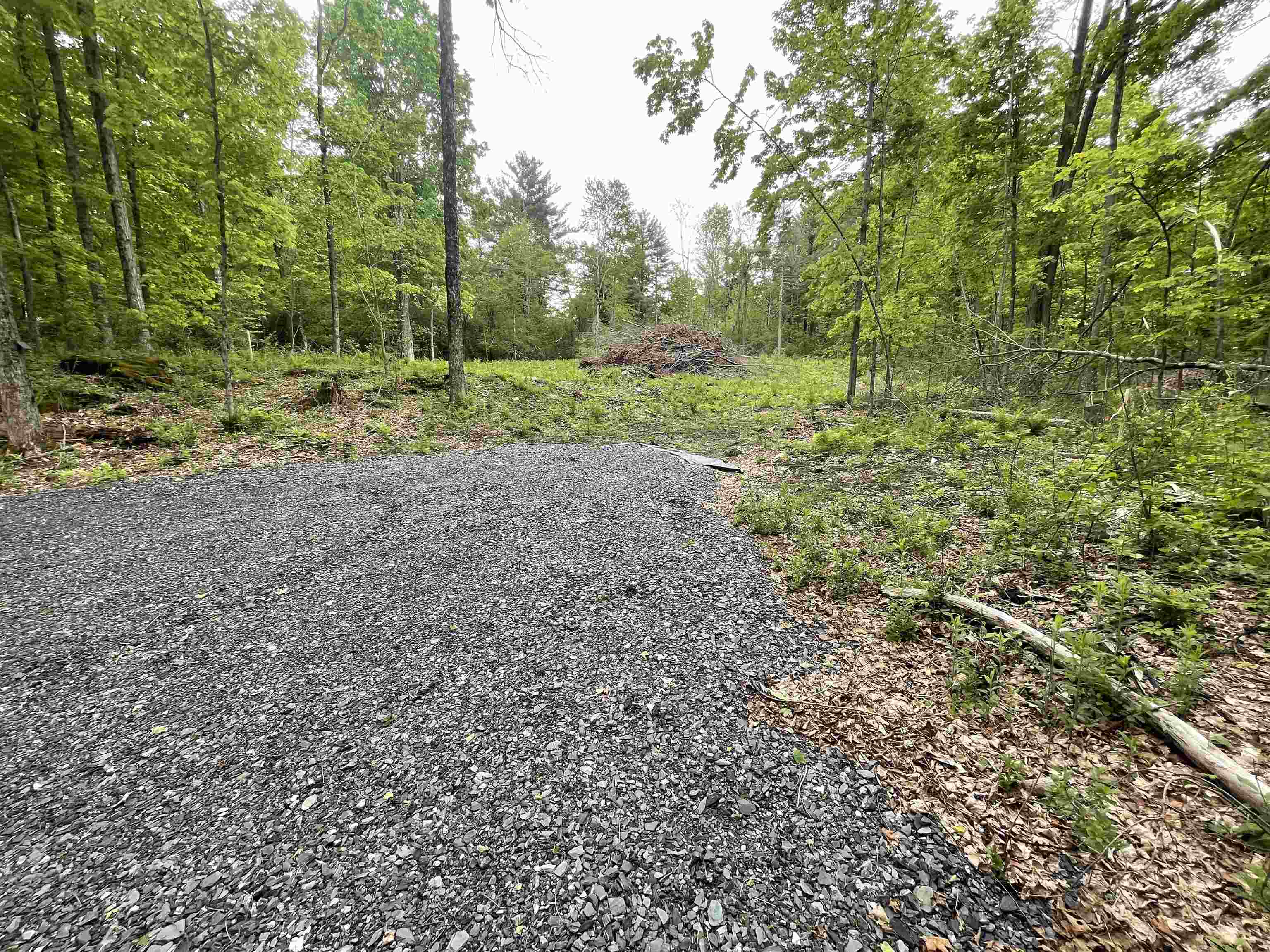 641 Camp Road Hubbardton, VT 05733 - Photo 4 of 11