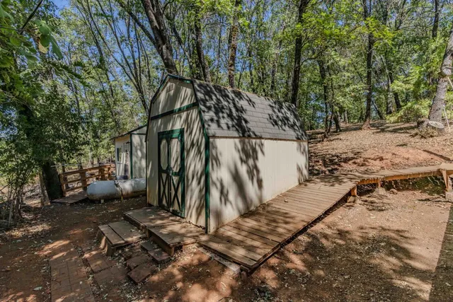 a view of a yard with plants and trees
