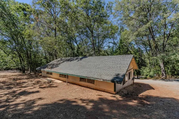 a view of a forest with trees