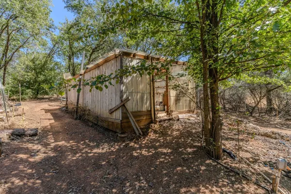 a view of statue in a yard