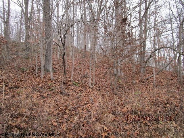 300 Hunters Cove Road Walkersville, WV 26447 - Photo 9 of 10 Gallery Image 9