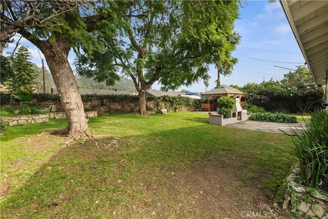 a view of a garden with a tree