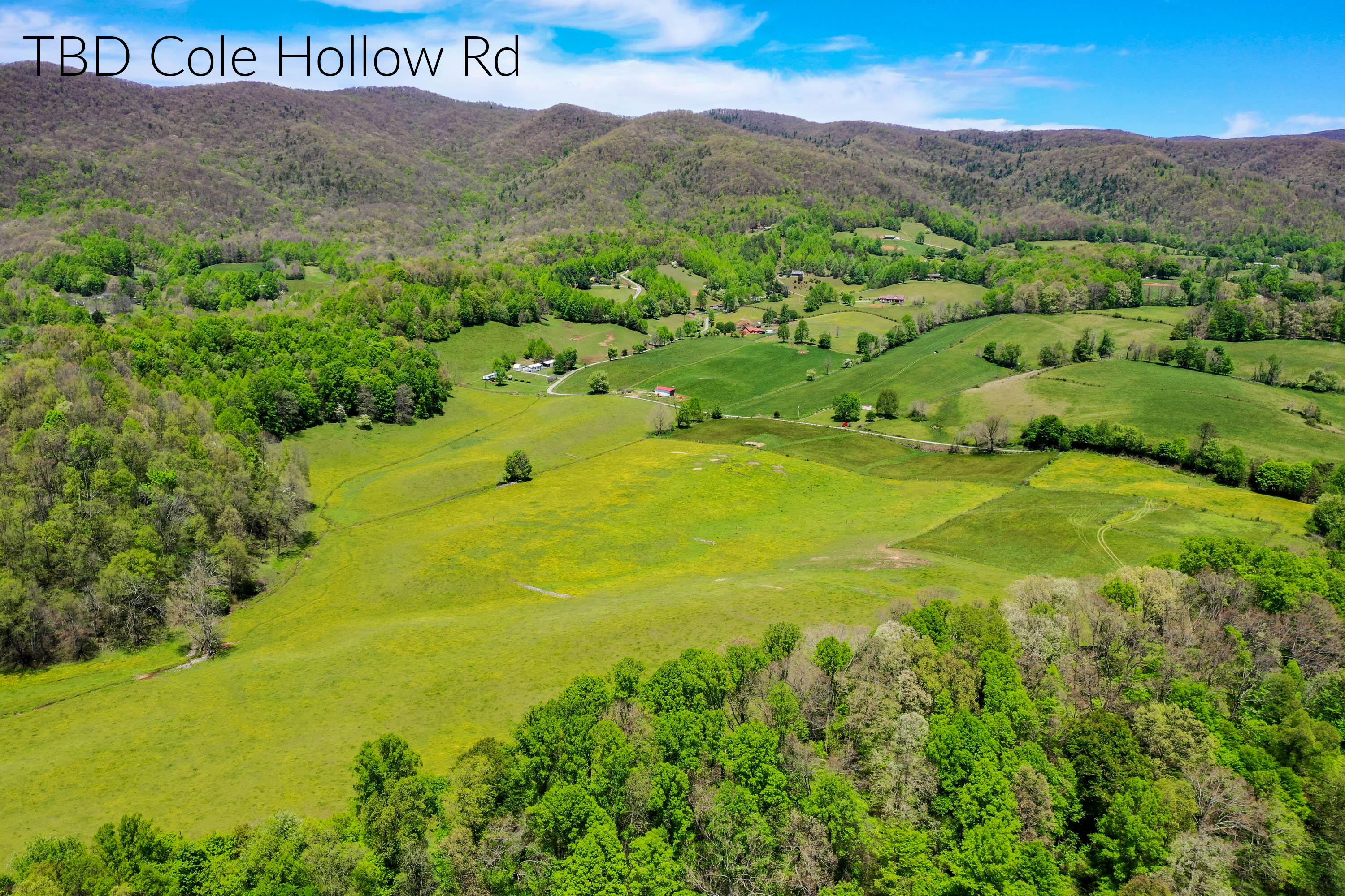 Tbd Cole Hollow Road Elizabethton, TN 37643 - Photo 1 of 1 Cole Hollow Rd-20 labeled