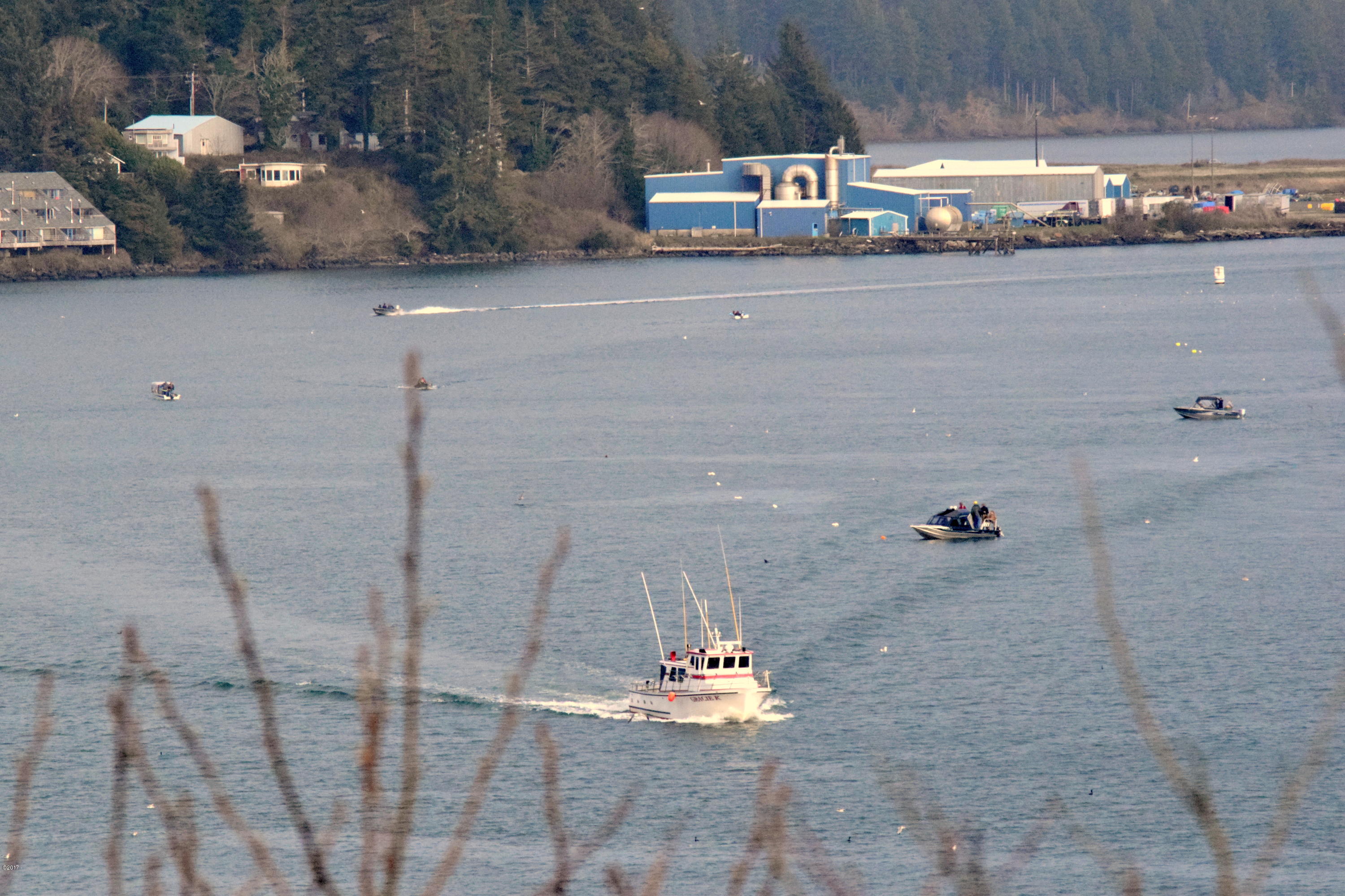 911 Southwest 12th Street Newport, OR 97365 - Photo 6 of 29 Watch the Boats