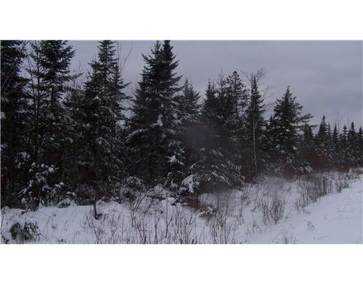Lot #1 Morrison Road Houlton, ME 04730 - Photo 7 of 13 Exterior Front.