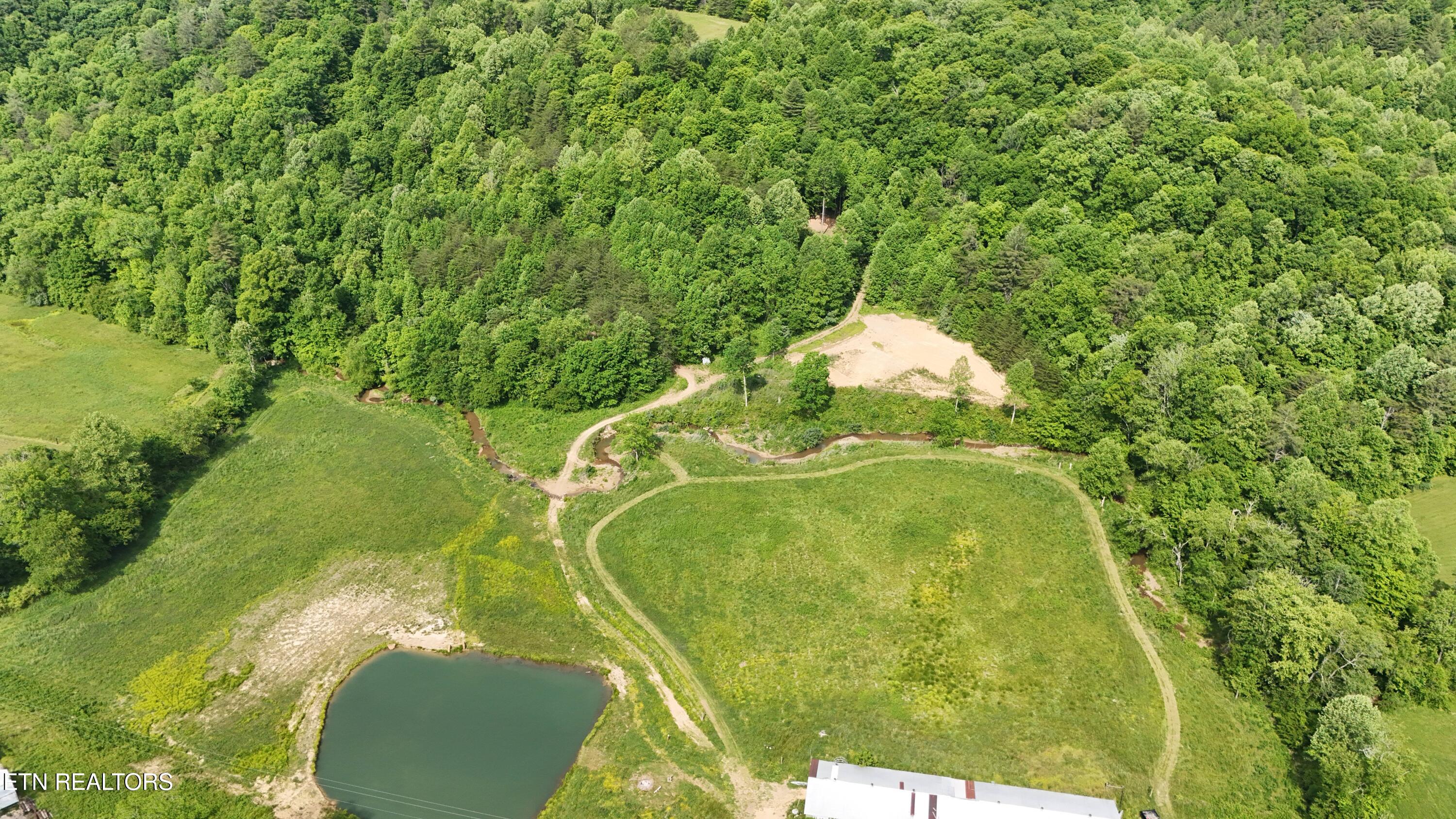 1095 Stanley Creek Road Oneida, TN 37841 - Photo 7 of 57 10sc