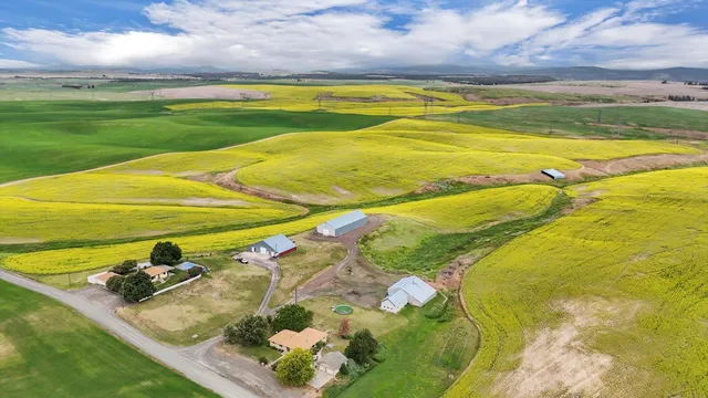 $560,000 | 50169 Bergeron Road, Reardan, WA 99029