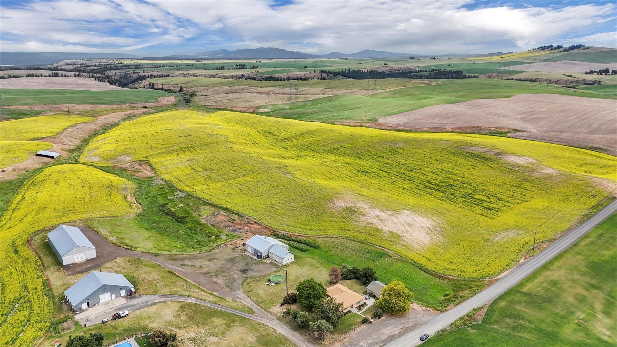 50169 Bergeron Road Reardan, WA 99029 - Photo 3 of 50