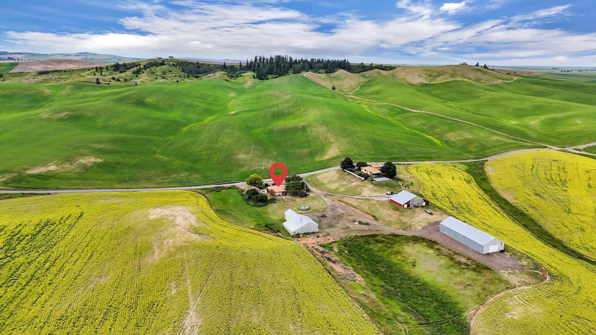 50169 Bergeron Road Reardan, WA 99029 - Photo 42 of 50