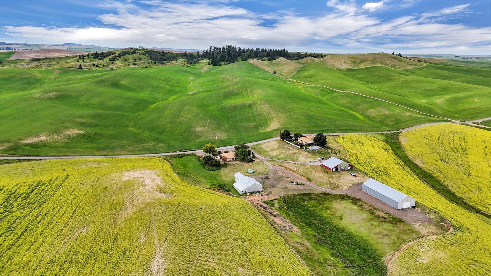 50169 Bergeron Road Reardan, WA 99029 - Photo 46 of 50