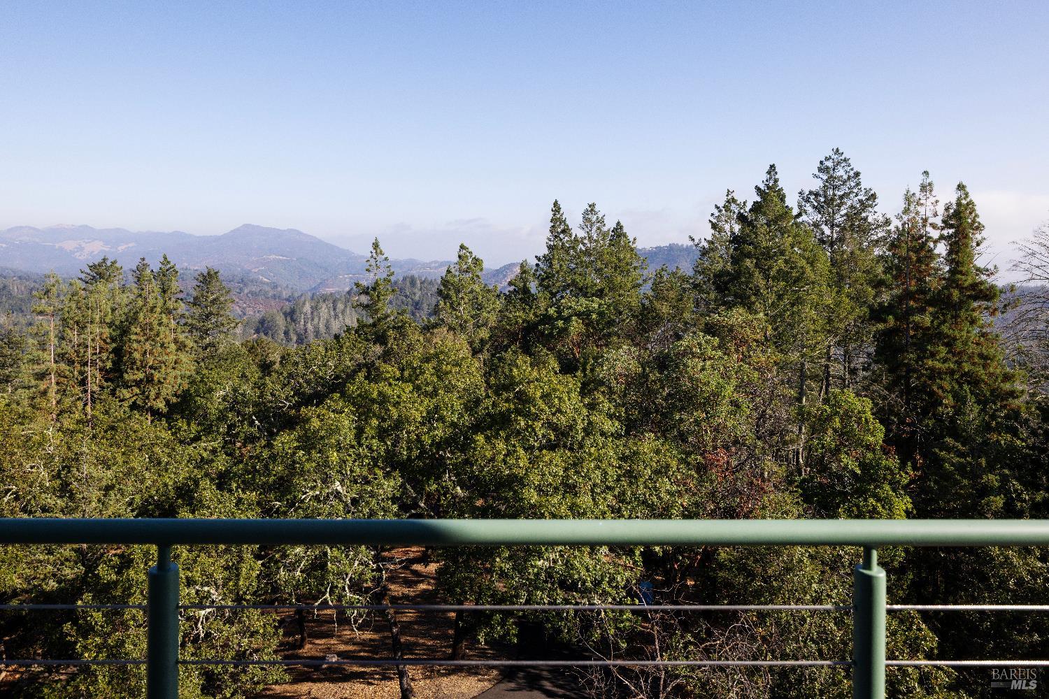 3000 Mt Veeder Road Napa, CA 94558 - Photo 61 of 85