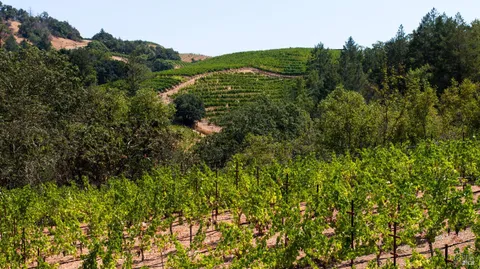 $14,900,000 | 3000 Mt Veeder Road, Napa, CA 94558