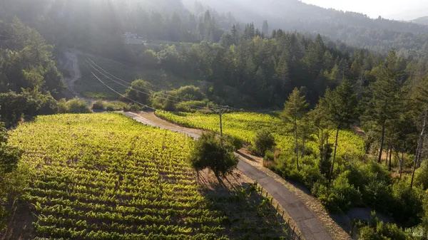 $14,900,000 | 3000 Mt Veeder Road, Napa, CA 94558