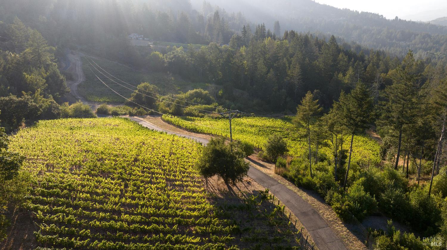 3000 Mt Veeder Road Napa, CA 94558 - Photo 74 of 85