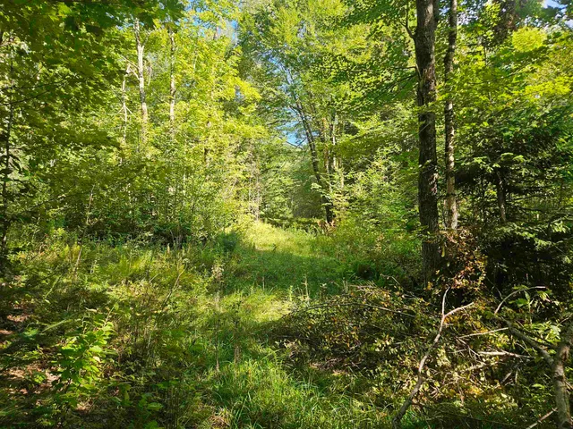 $595,000 | 1230 Pinkham Road, Burke, VT 05832