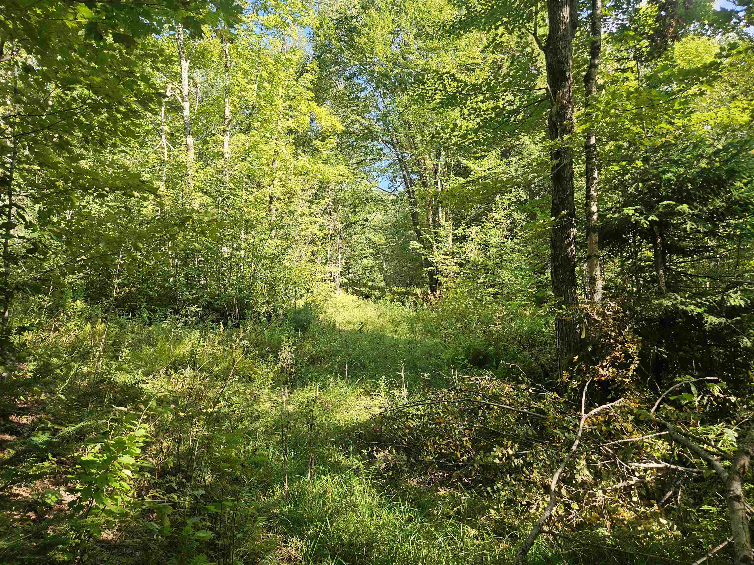 1230 Pinkham Road Burke, VT 05832 - Photo 21 of 33