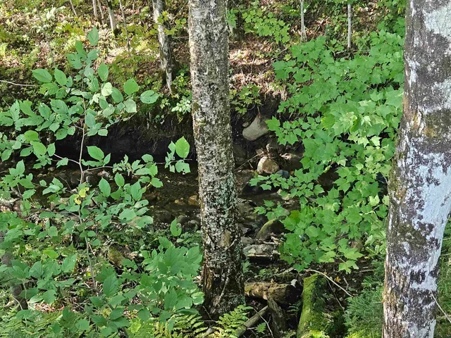 $595,000 | 1230 Pinkham Road, Burke, VT 05832