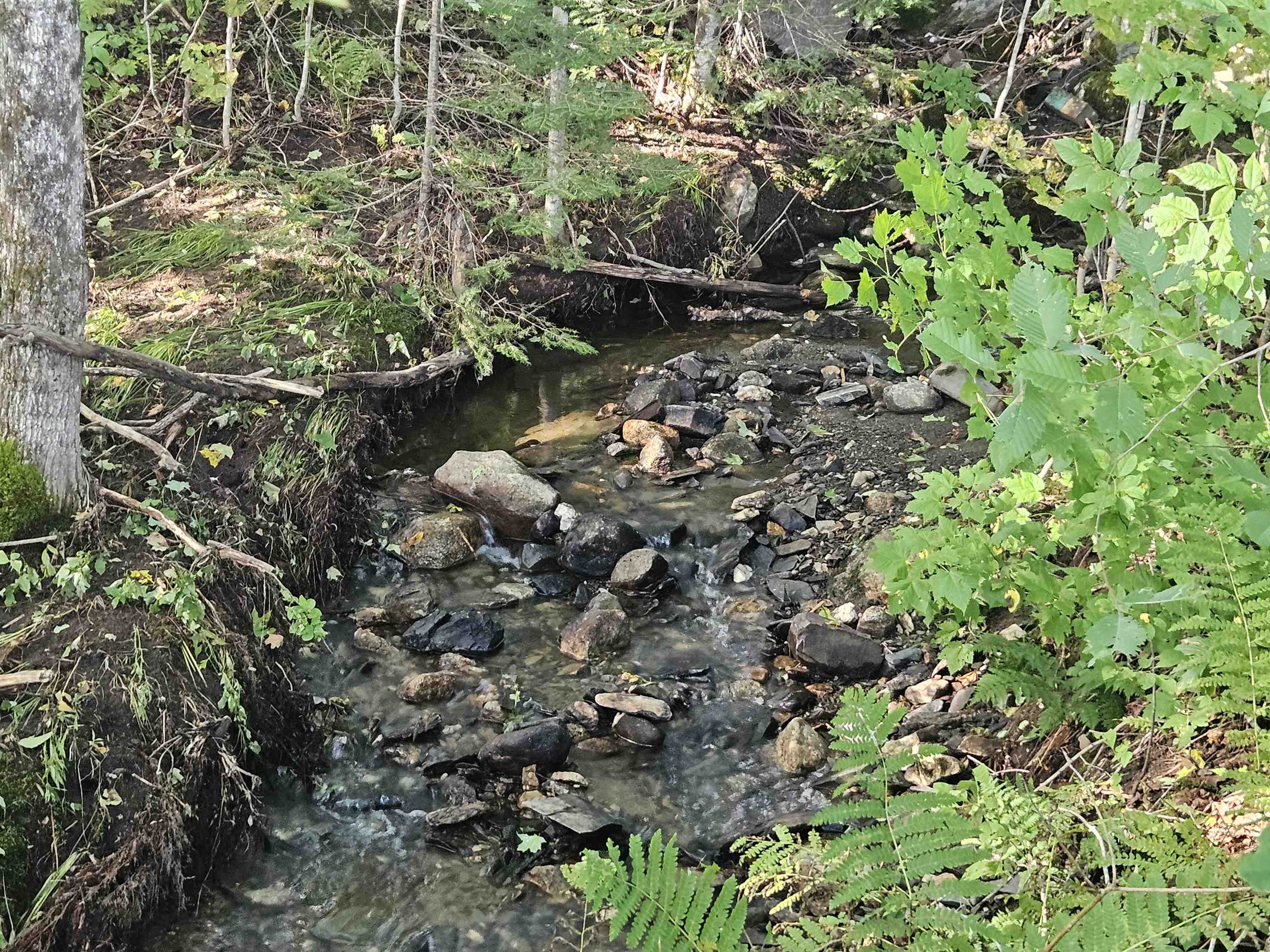 1230 Pinkham Road Burke, VT 05832 - Photo 23 of 33