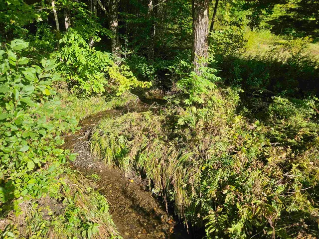 $595,000 | 1230 Pinkham Road, Burke, VT 05832