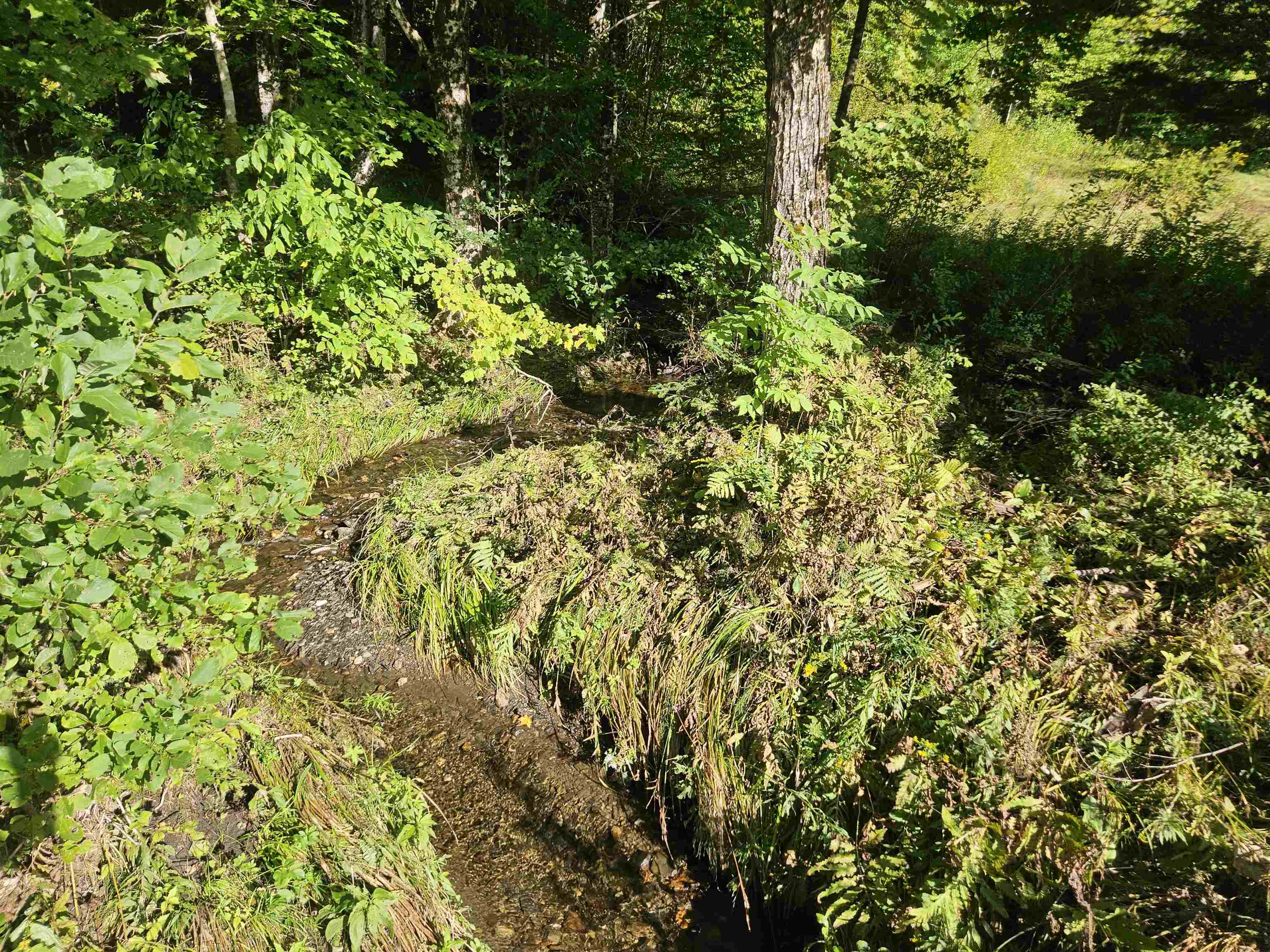 1230 Pinkham Road Burke, VT 05832 - Photo 24 of 33