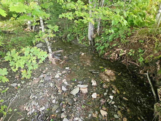 $595,000 | 1230 Pinkham Road, Burke, VT 05832