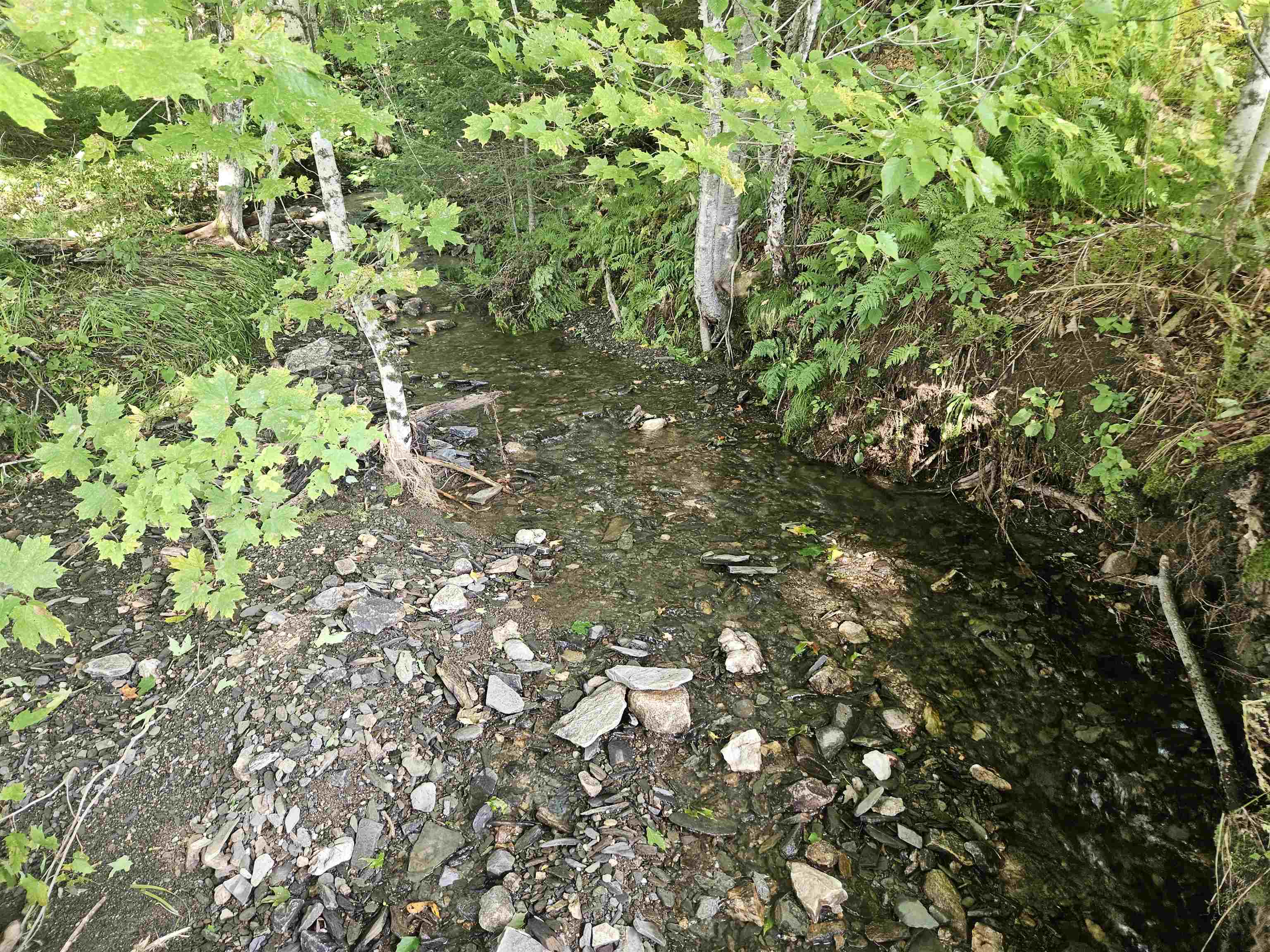 1230 Pinkham Road Burke, VT 05832 - Photo 25 of 33