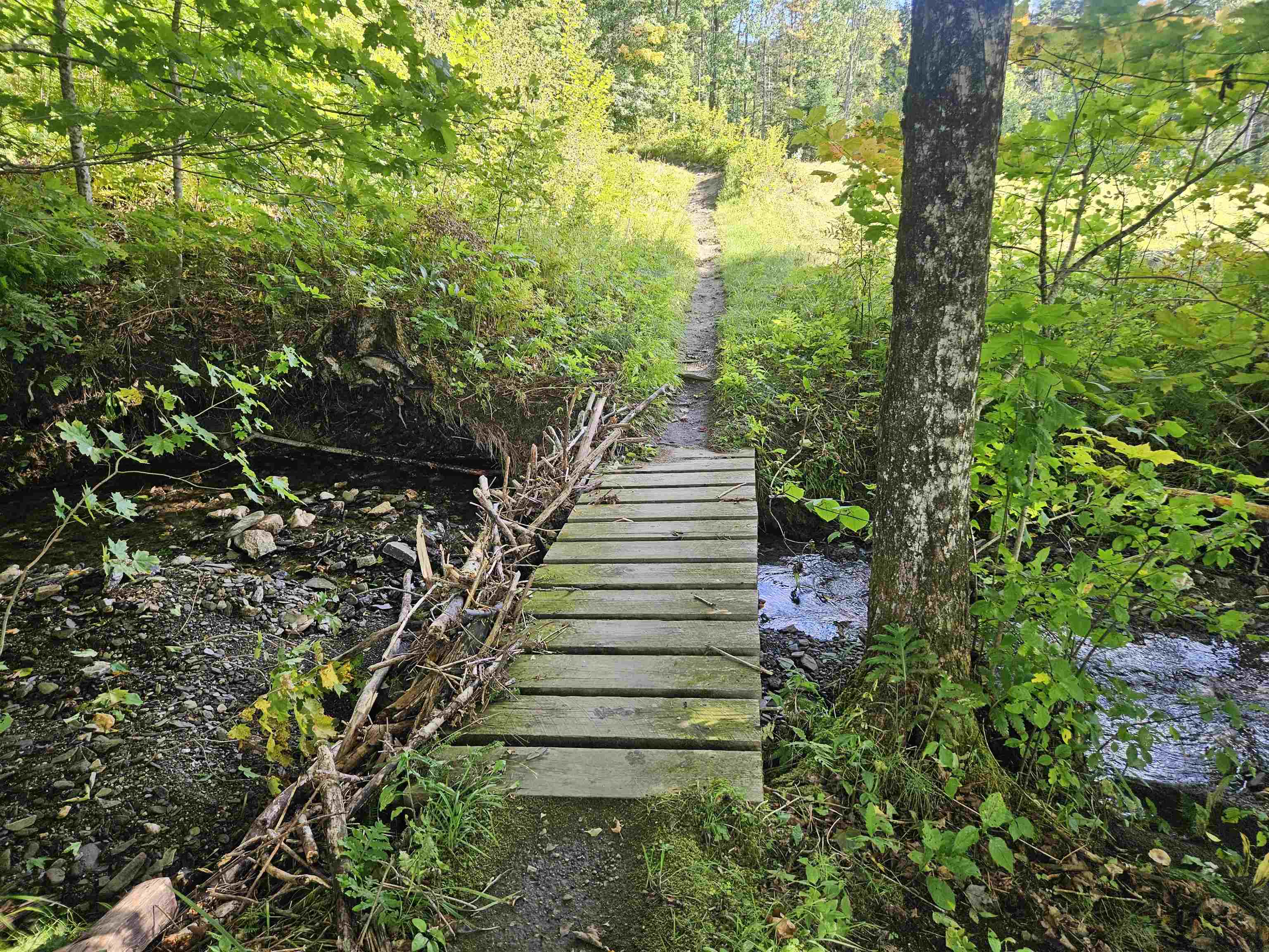 1230 Pinkham Road Burke, VT 05832 - Photo 3 of 33
