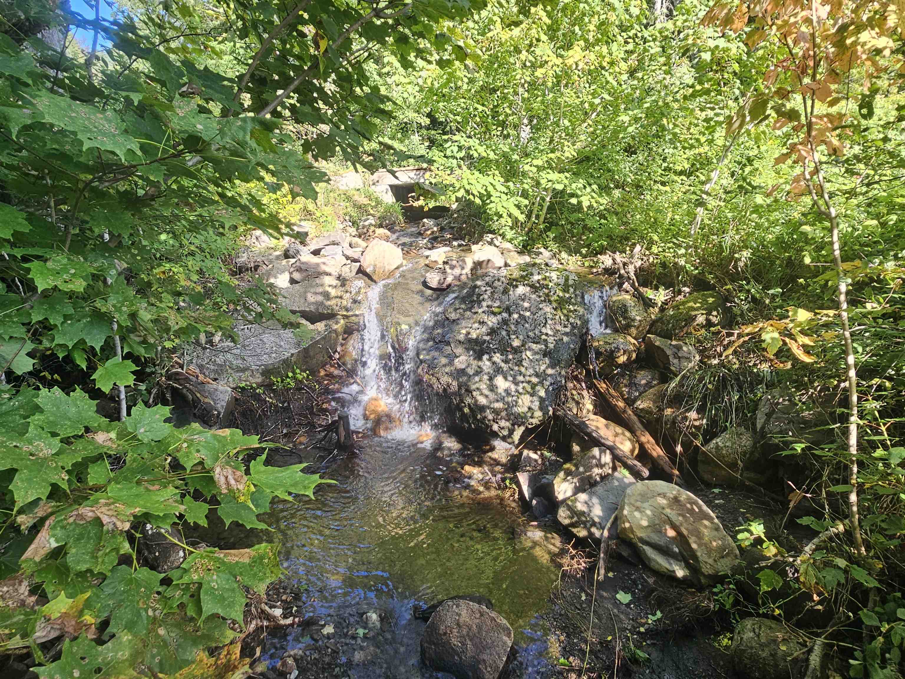 1230 Pinkham Road Burke, VT 05832 - Photo 5 of 33