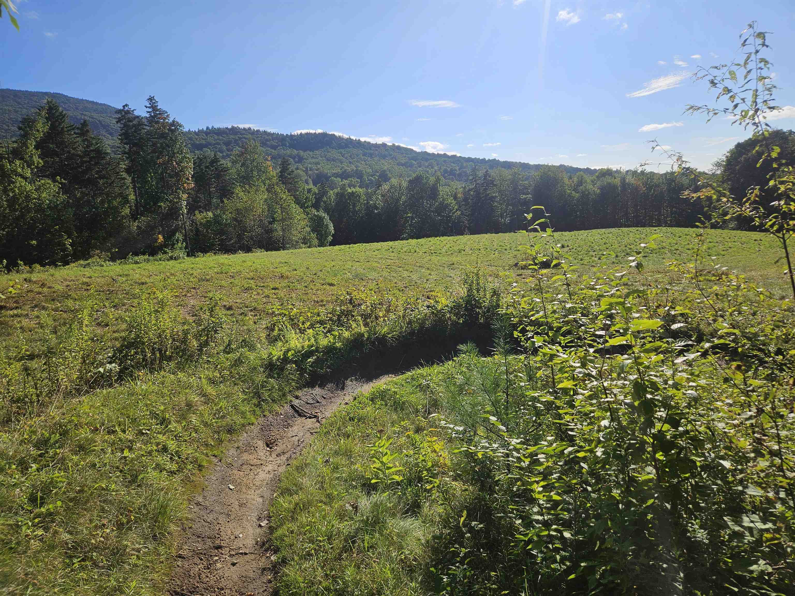 1230 Pinkham Road Burke, VT 05832 - Photo 7 of 33