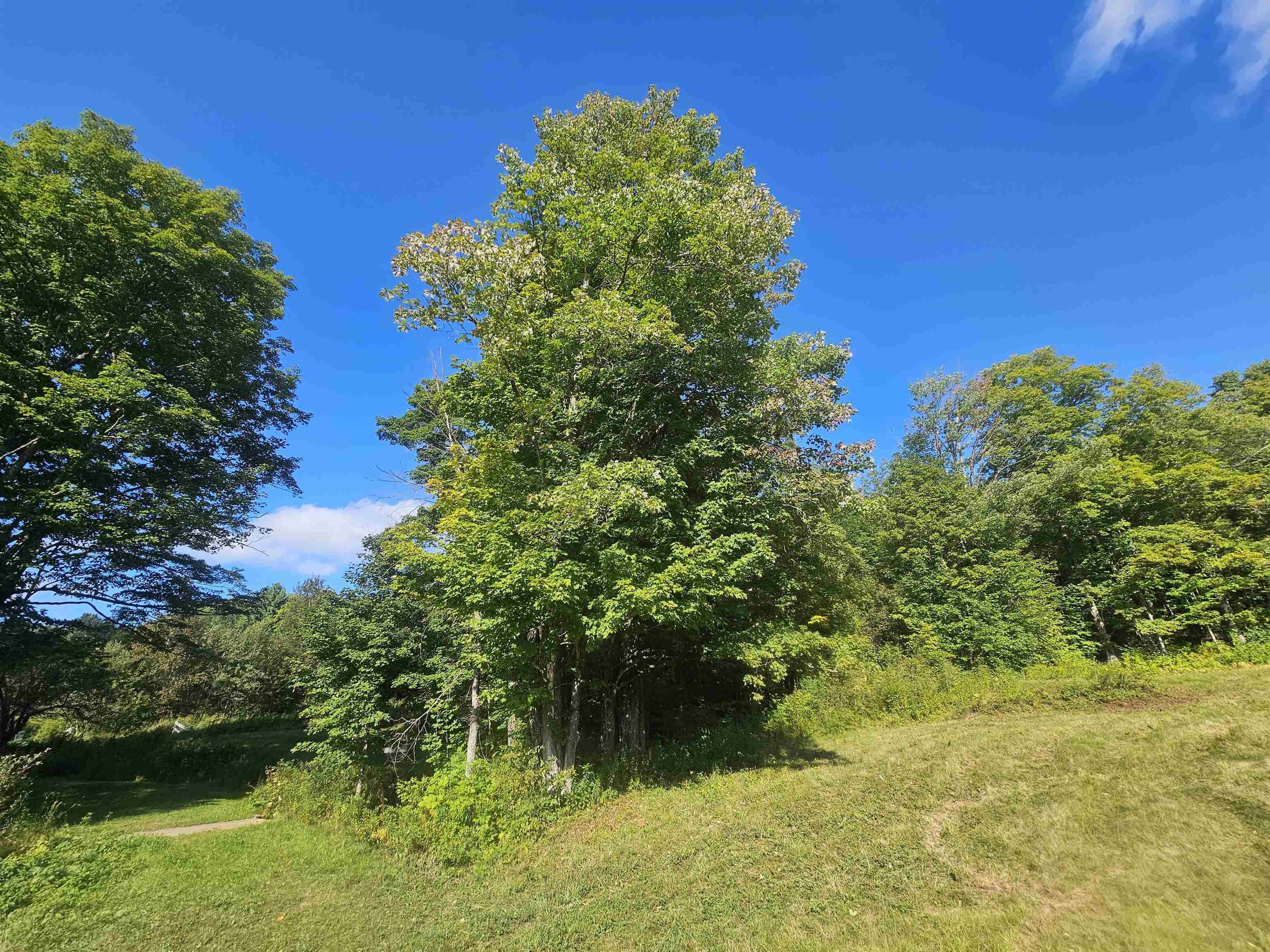 1230 Pinkham Road Burke, VT 05832 - Photo 8 of 33