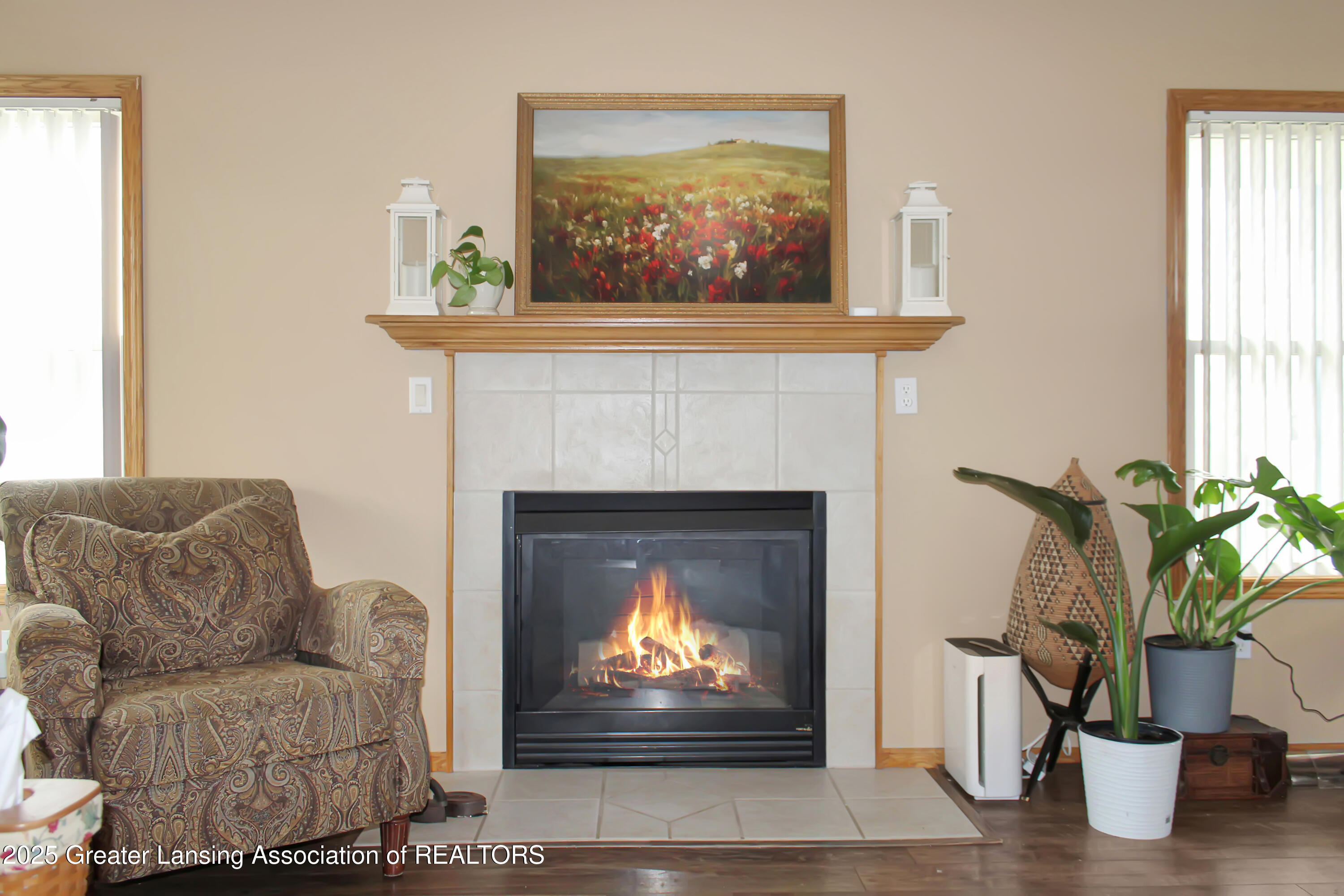 10048 Roblyn Circle Dimondale, MI 48821 - Photo 4 of 39 Fireplace