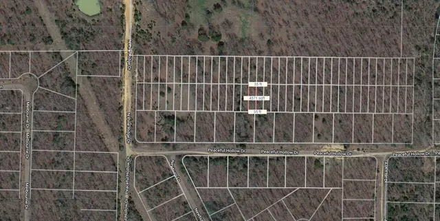 $950 | Lot 60 Peaceful Hollow Drive, Other, AR 72512