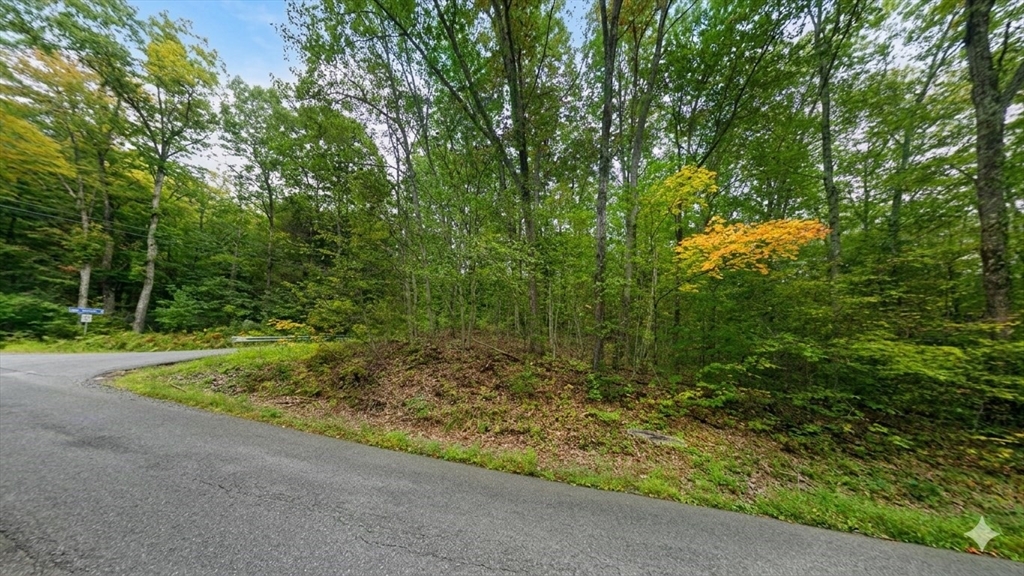 0 William Holmes Road Becket, MA 01223 - Photo 2 of 9 a view of outdoor space and yard