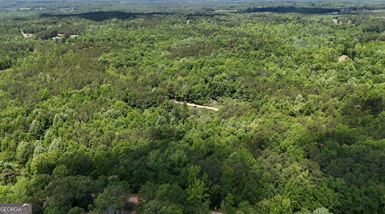 0 Creek Road, Unit LOT 8 Ashland, AL 36251 - Photo 15 of 25