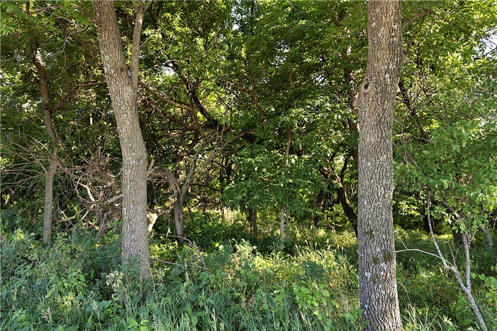 Southeast 321st Road Leeton, MO 64761 - Photo 29 of 75