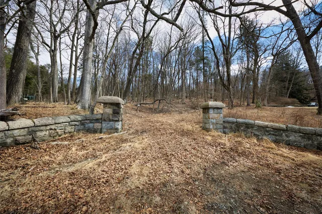 a backyard of a house with lots of tall trees