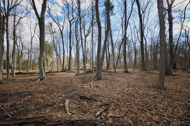 a view of a yard with large trees