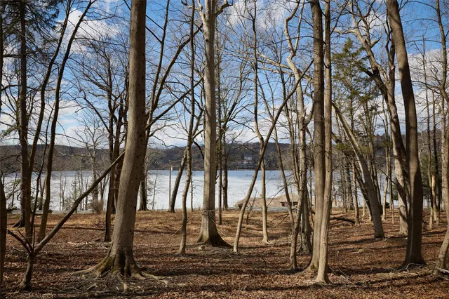 a black and white photo of a house