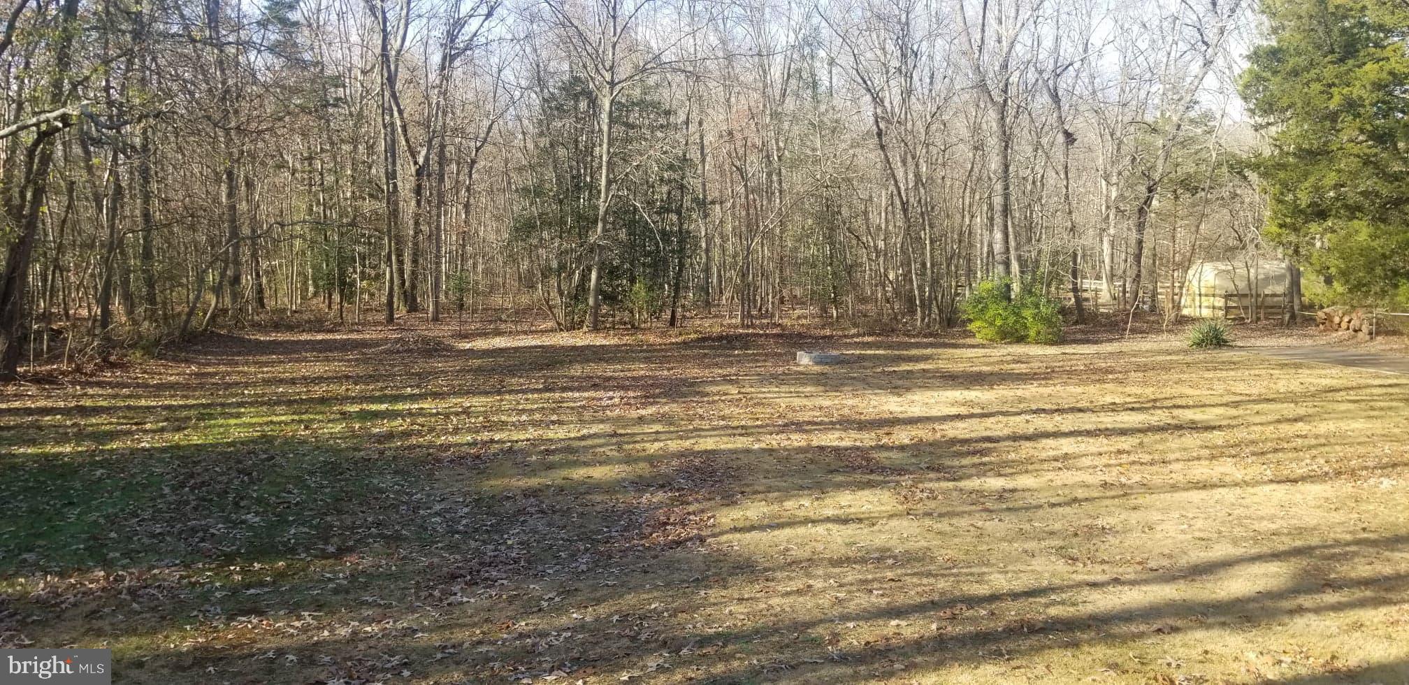 871 Reed Avenue Franklinville, NJ 08322 - Photo 7 of 10 Gallery Image 7