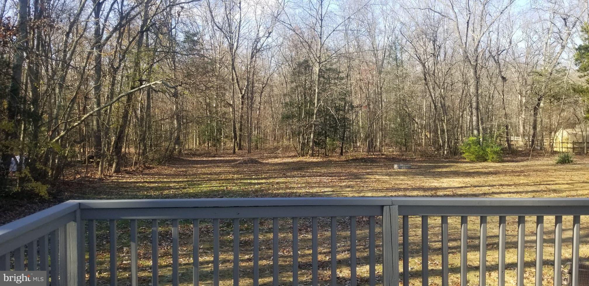 871 Reed Avenue Franklinville, NJ 08322 - Photo 8 of 10 Gallery Image 8